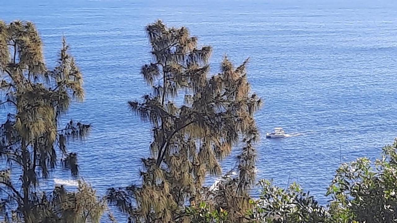 Chambre Vue Sur Mer Entre Grande Anse Et Manapany Petite Île Zewnętrze zdjęcie