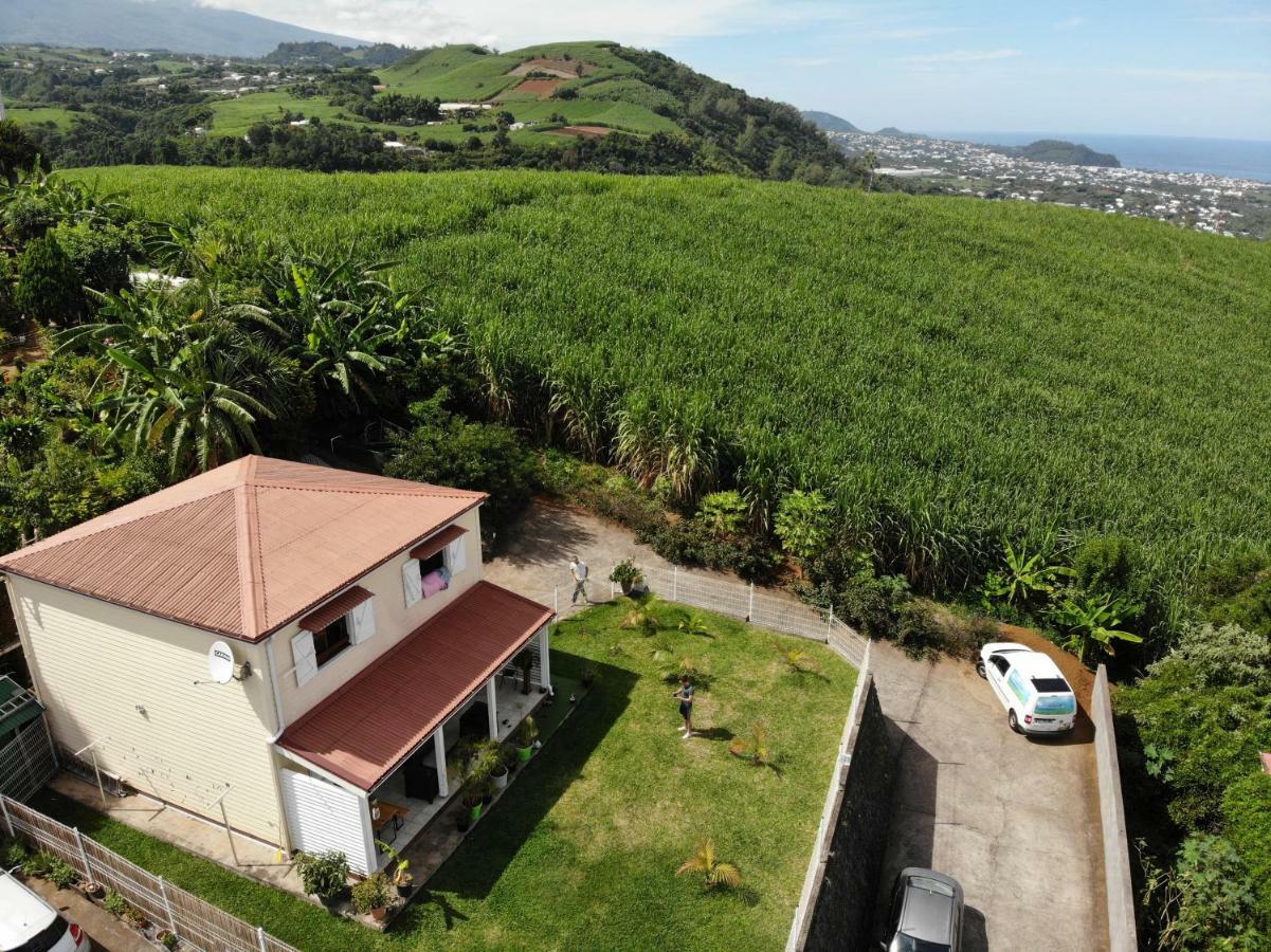 Chambre Vue Sur Mer Entre Grande Anse Et Manapany Petite Île Zewnętrze zdjęcie